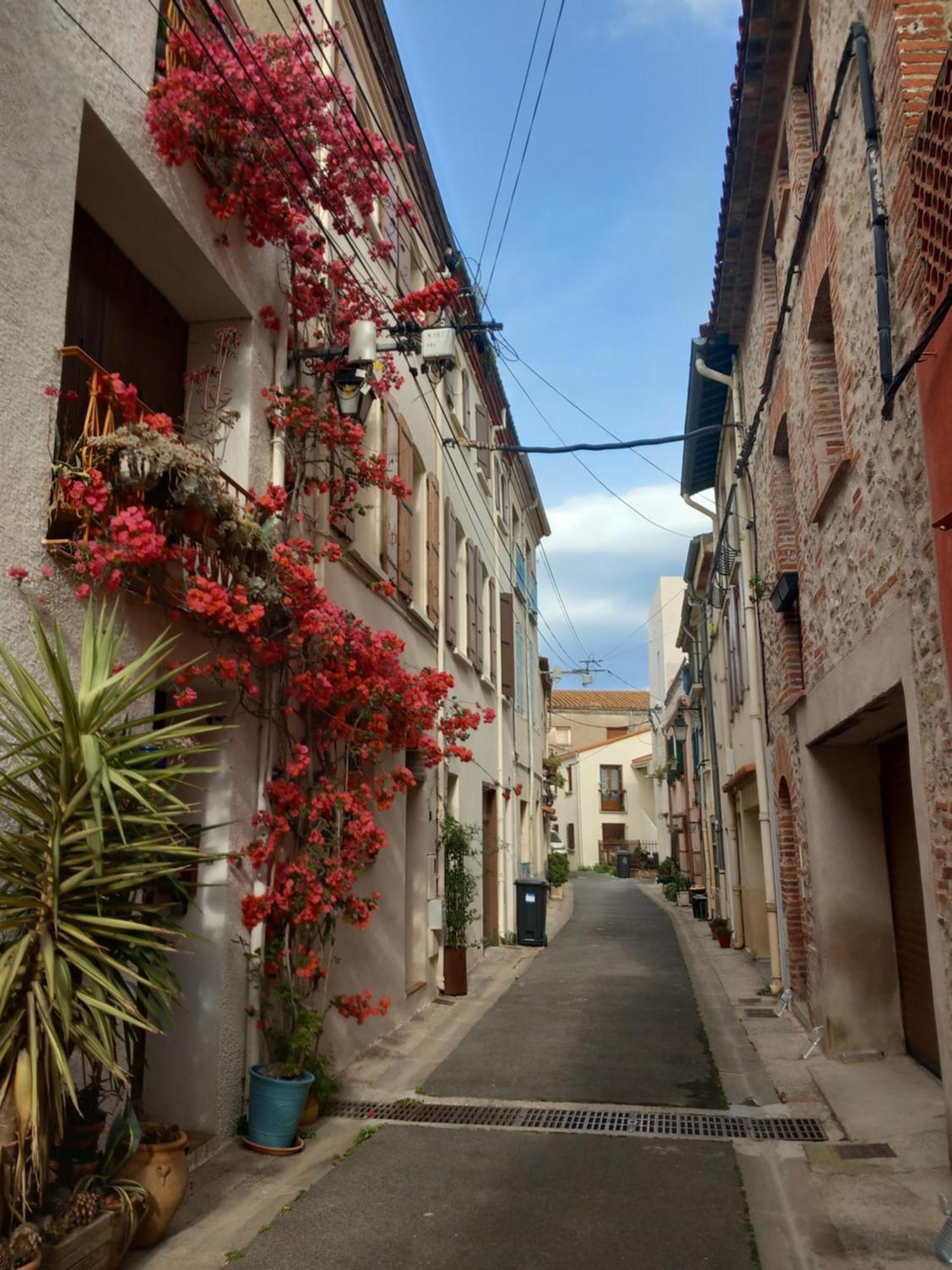 Maison De L'Esprit Catalan أرجيليه- سور- مير المظهر الخارجي الصورة